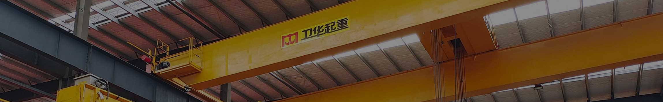 Custom Crane Projects for Global Clients