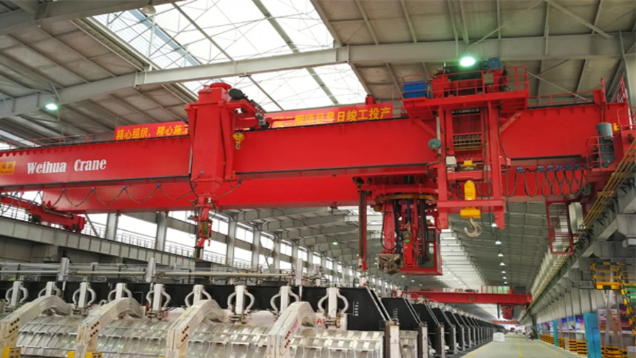 Multifunction Crane for Electrolytic Aluminum